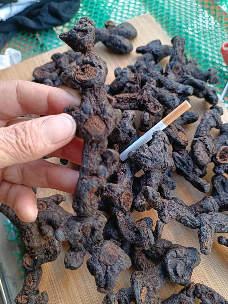 古法九蒸九晒野生黄精第九蒸[玫瑰]古老传统制法