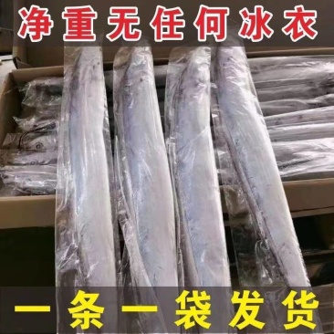 【1-3斤/条超大带鱼】东海大带鱼新鲜鲜活生刀鱼带鱼一
