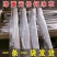 【1-3斤/条超大带鱼】东海大带鱼新鲜鲜活生刀鱼带鱼一