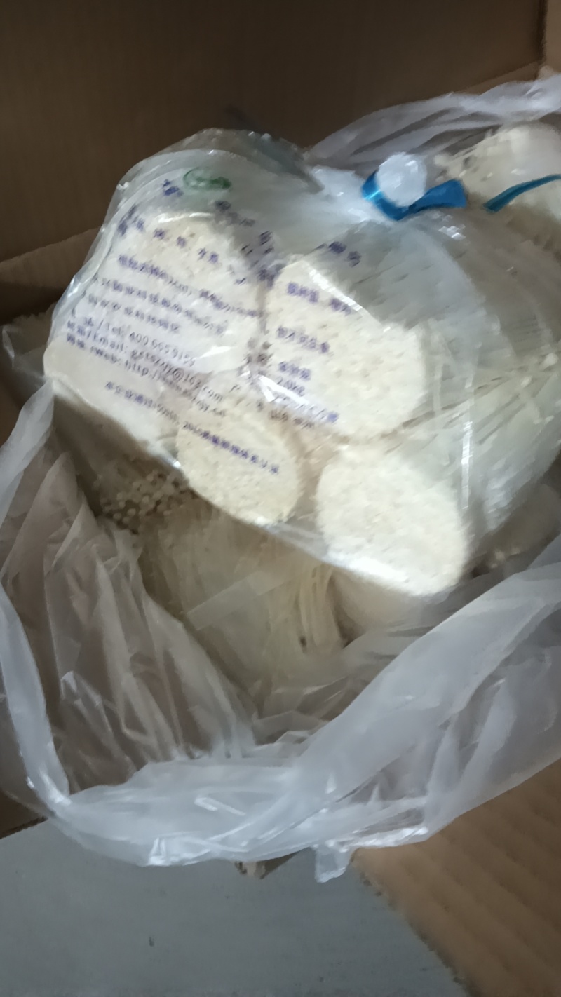 【金针菇】山东潍坊基地直发质量保证货源充足欢迎订购