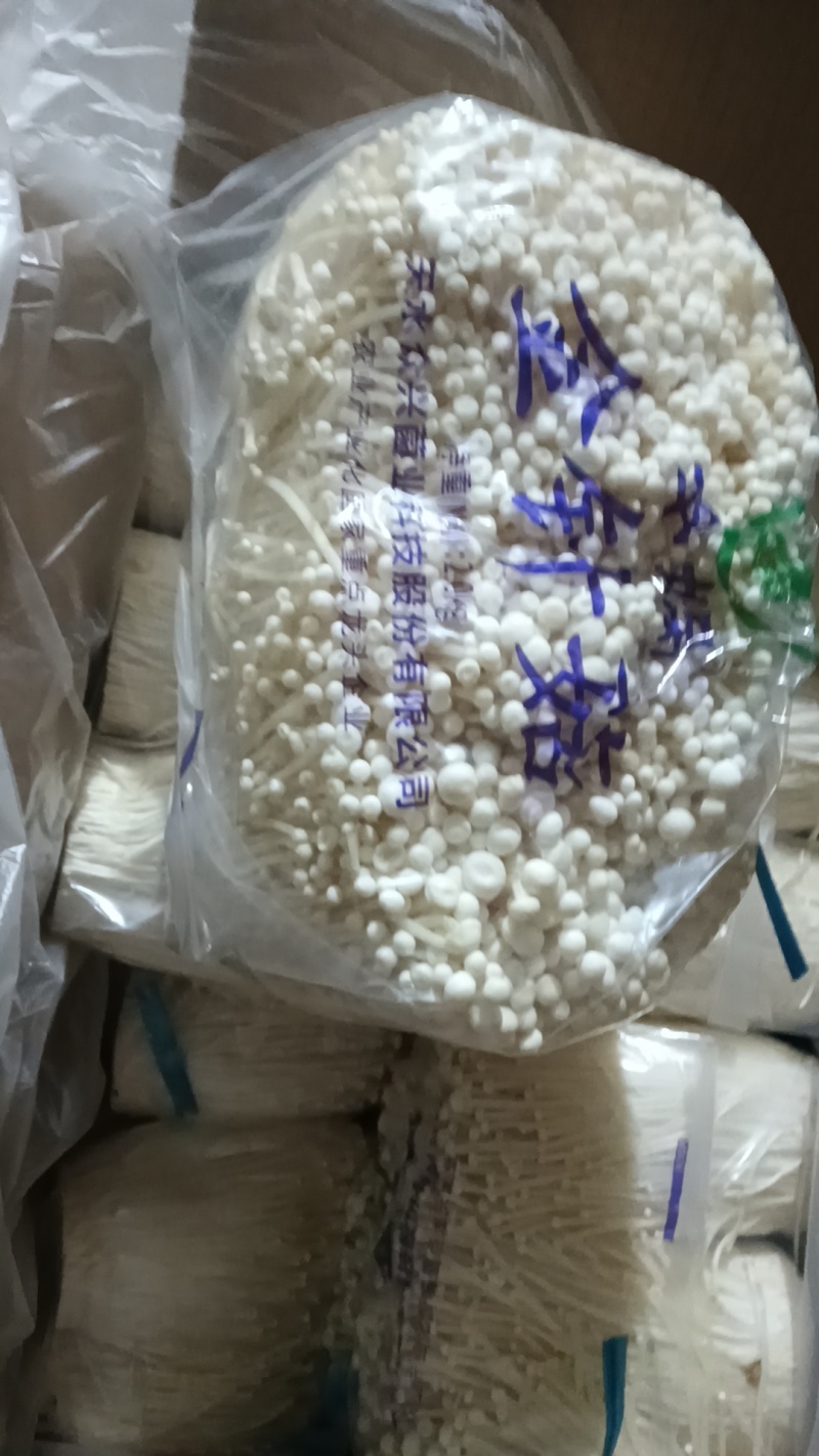 【金针菇】山东潍坊基地直发质量保证货源充足欢迎订购