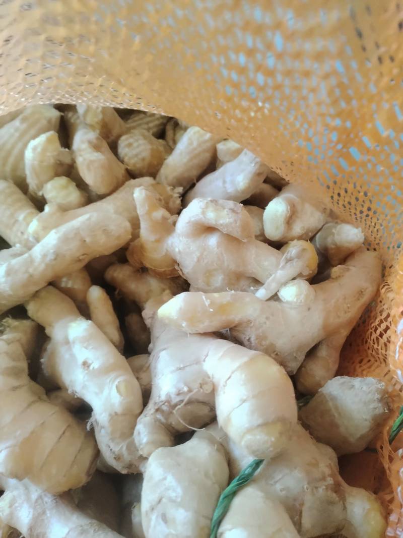 姜烘干姜姜把子，大头姜各种质量都有各种包装