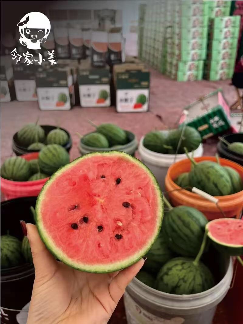 冰糖子西瓜皮薄肉多口感脆甜