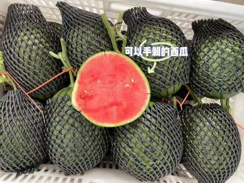 冰糖子西瓜皮薄肉多口感脆甜