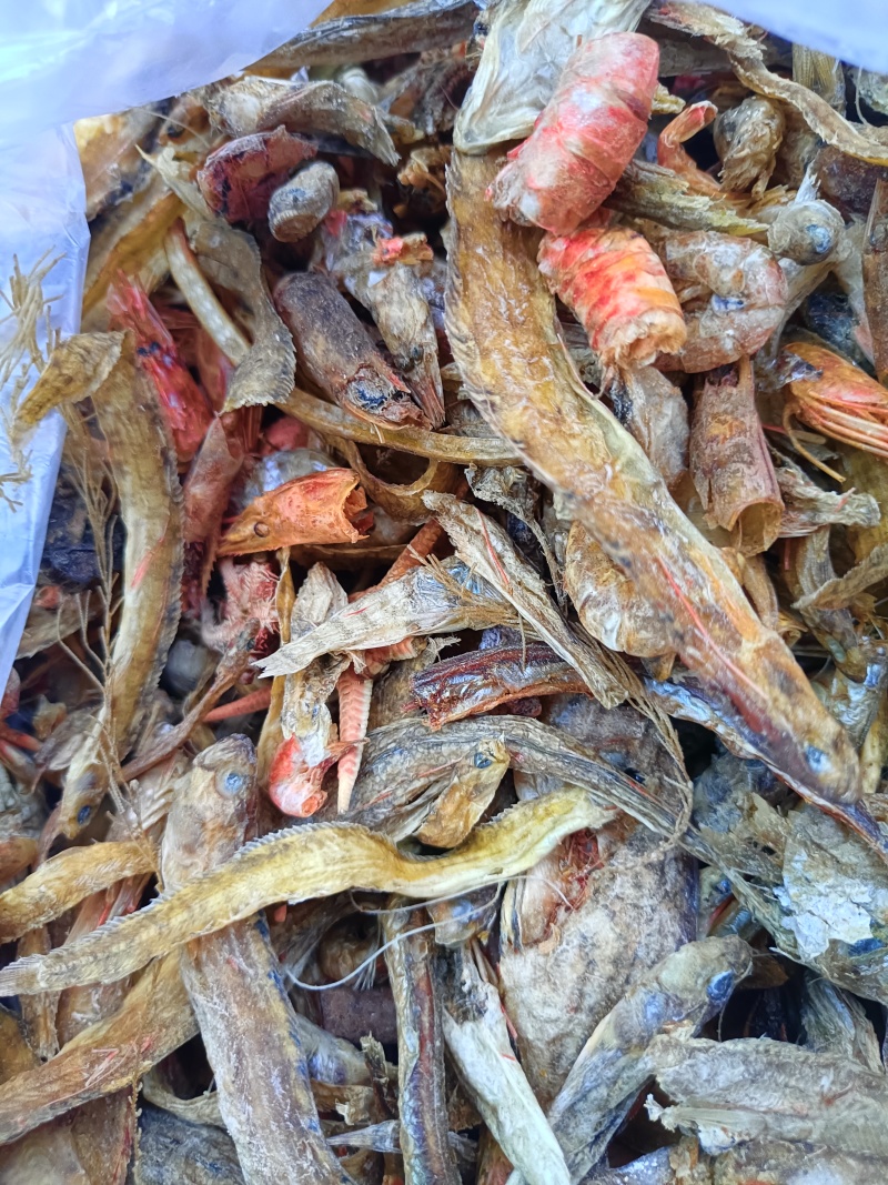 烘干沙逛鱼，凤尾鱼，大量出货，欢迎全国采购商致电
