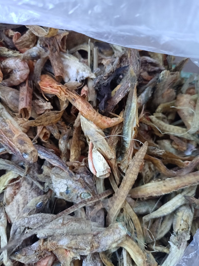 烘干沙逛鱼，凤尾鱼，大量出货，欢迎全国采购商致电