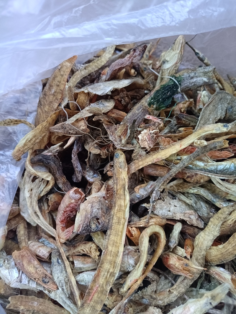 烘干沙逛鱼，凤尾鱼，大量出货，欢迎全国采购商致电