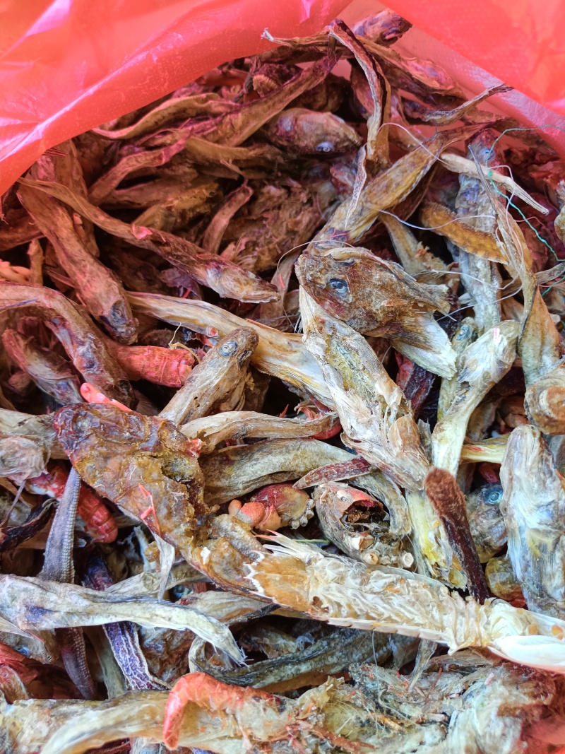 烘干沙逛鱼，凤尾鱼，大量出货，欢迎全国采购商致电