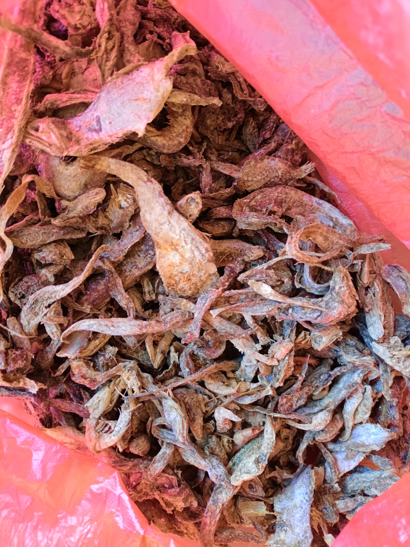 烘干沙逛鱼，凤尾鱼，大量出货，欢迎全国采购商致电
