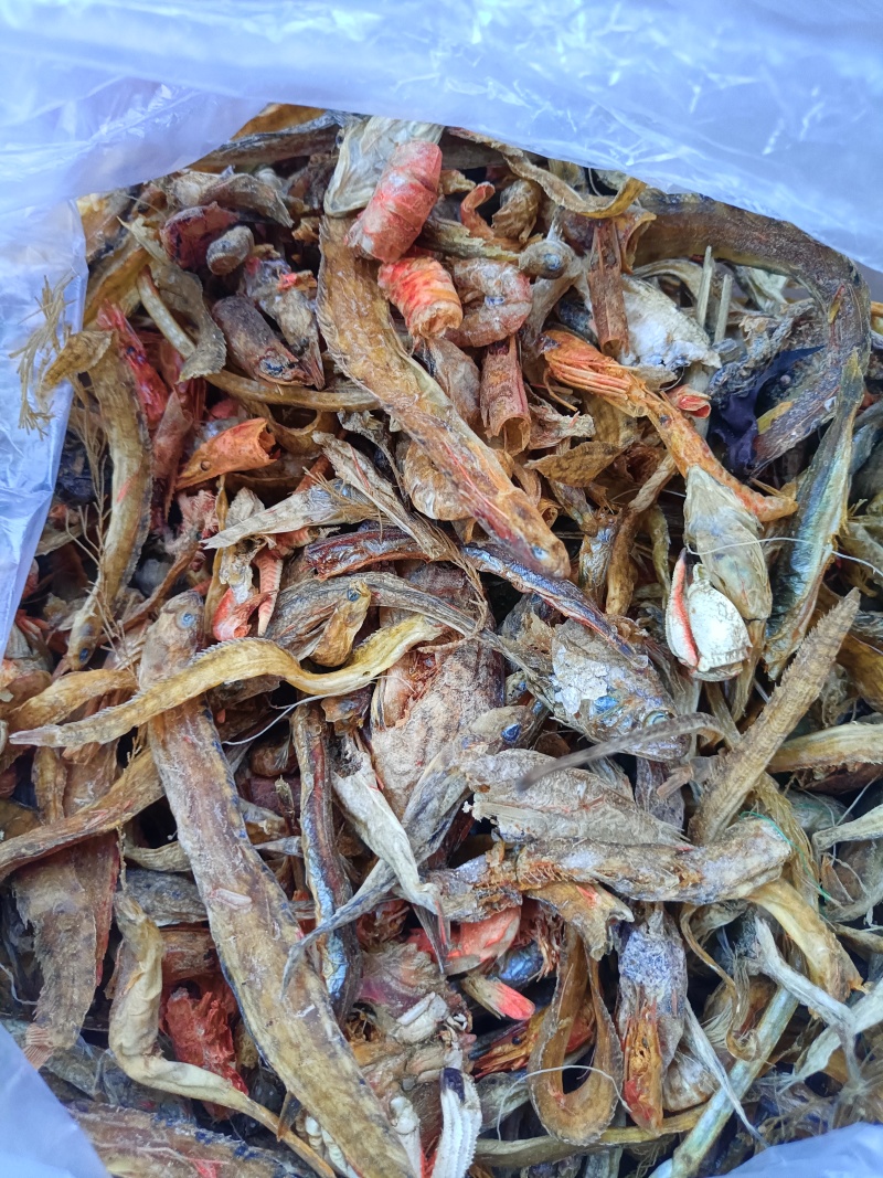烘干沙逛鱼，凤尾鱼，大量出货，欢迎全国采购商致电