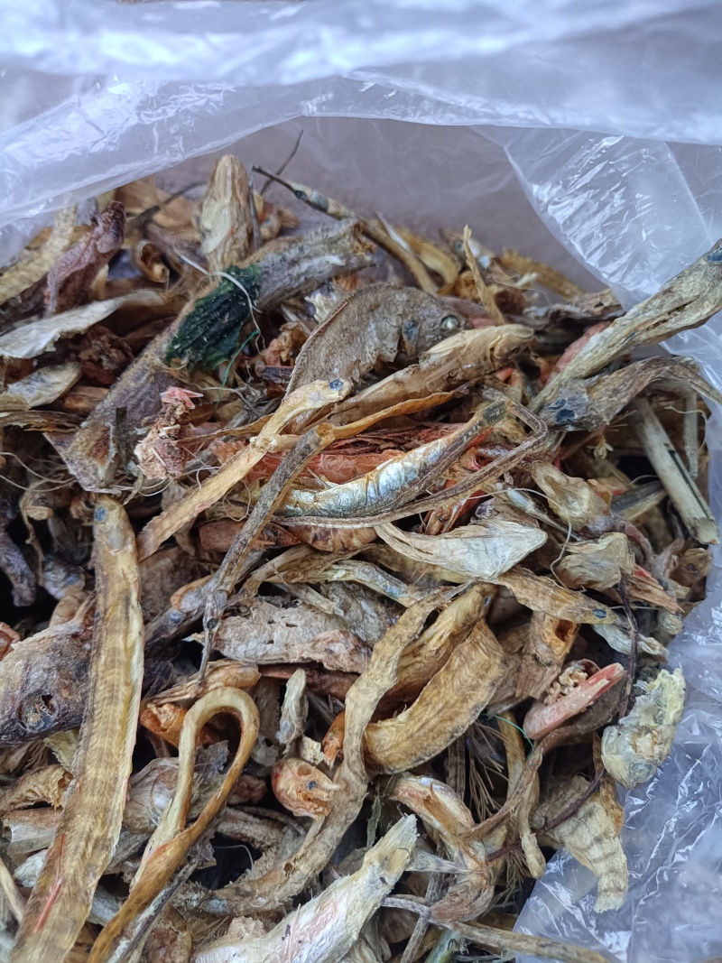 烘干沙逛鱼，凤尾鱼，大量出货，欢迎全国采购商致电