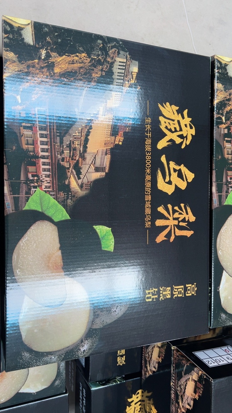 高山藏乌梨口感脆甜多汁。清脆爽口。含糖量高。高档水果。