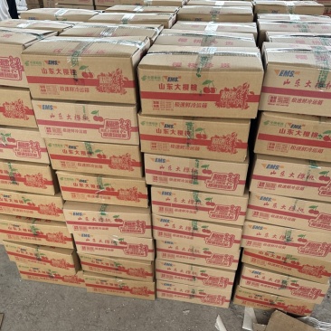 山东樱桃，美早，一件代发
