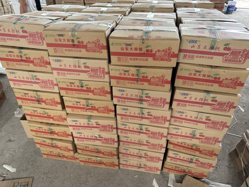 山东樱桃，美早，一件代发