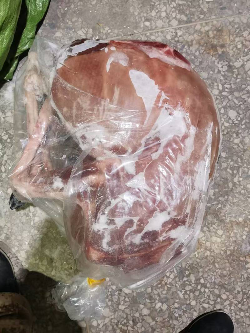 鹿白条批发大量有货新鲜肉质鲜嫩源头直发