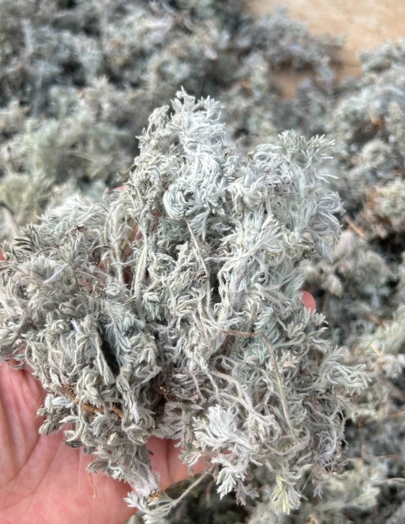 茵陈，干货，量大价格可谈，根苗，种子也有，欢迎咨询！