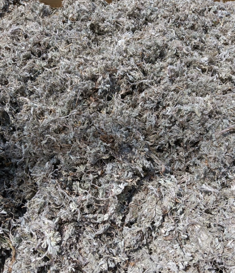 茵陈，干货，量大价格可谈，根苗，种子也有，欢迎咨询！