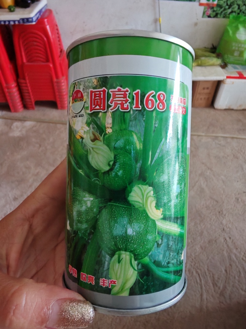 西葫芦苗质量保证常年供应，品质优势抗优势