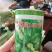 西葫芦苗质量保证常年供应，品质优势抗优势