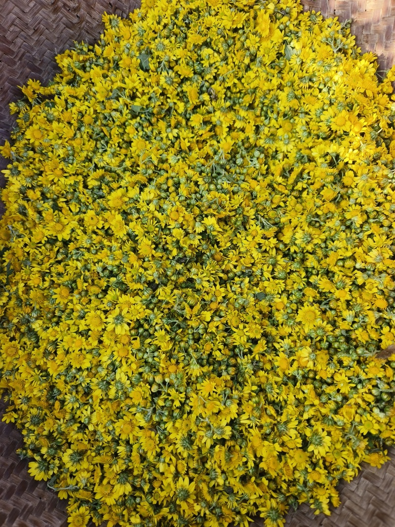 旋覆花，统货，选货，自然晒干，无硫化无熏染，欢迎批发零售