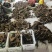 干鹿茸批发打粉鹿茸片鹿茸段鹿茸片便宜地滩
