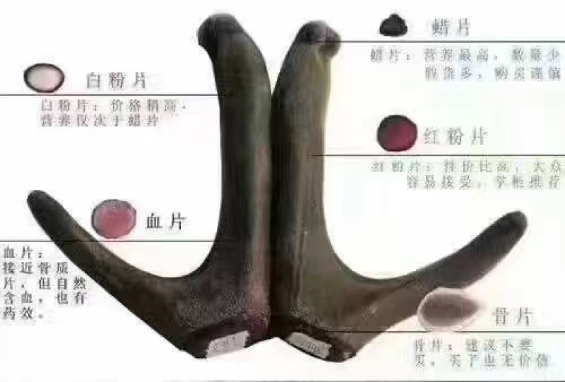 干鹿茸批发打粉鹿茸片鹿茸段鹿茸片便宜地滩