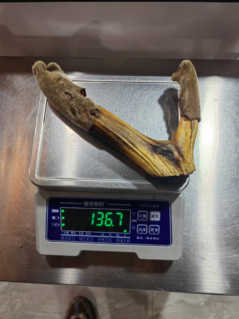 干鹿茸批发打粉鹿茸片鹿茸段鹿茸片便宜地滩