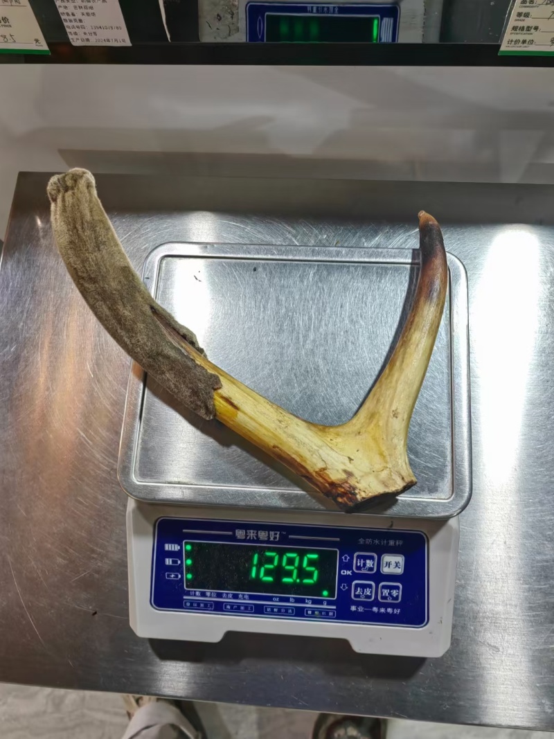 干鹿茸批发打粉鹿茸片鹿茸段鹿茸片便宜地滩