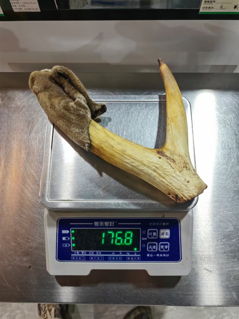 干鹿茸批发打粉鹿茸片鹿茸段鹿茸片便宜地滩