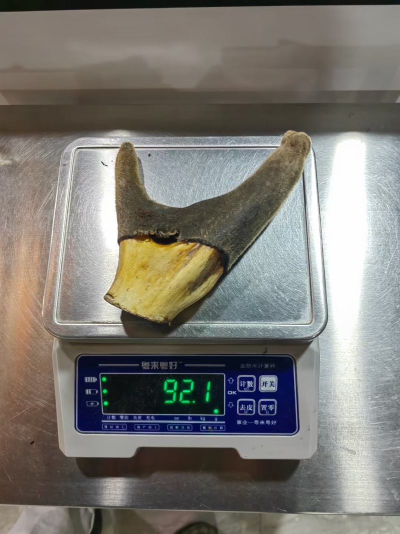 干鹿茸批发打粉鹿茸片鹿茸段鹿茸片便宜地滩