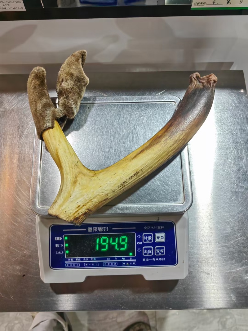 干鹿茸批发打粉鹿茸片鹿茸段鹿茸片便宜地滩