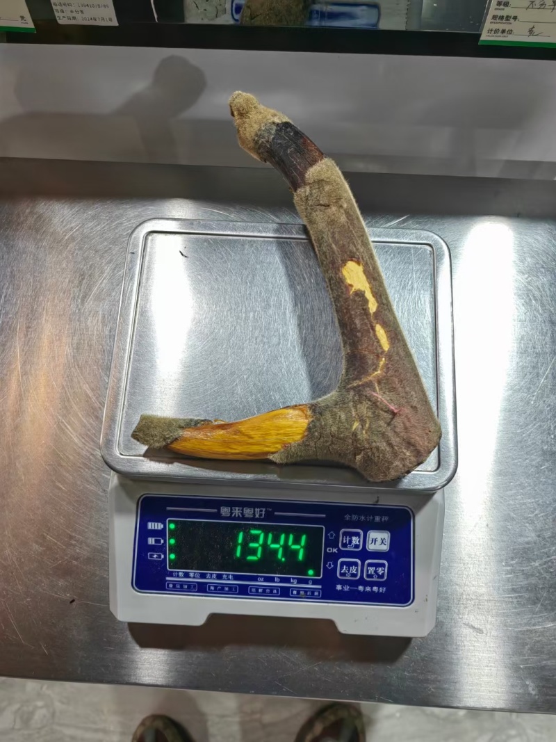干鹿茸批发打粉鹿茸片鹿茸段鹿茸片便宜地滩