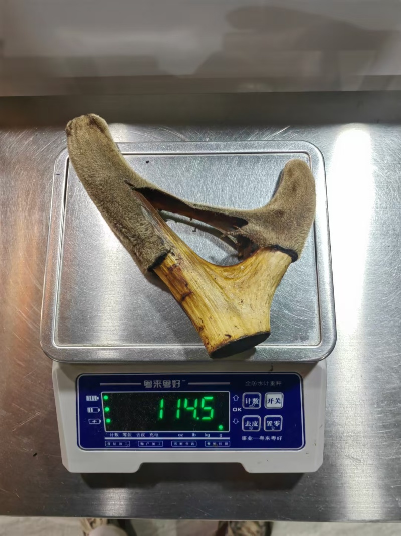 干鹿茸批发打粉鹿茸片鹿茸段鹿茸片便宜地滩