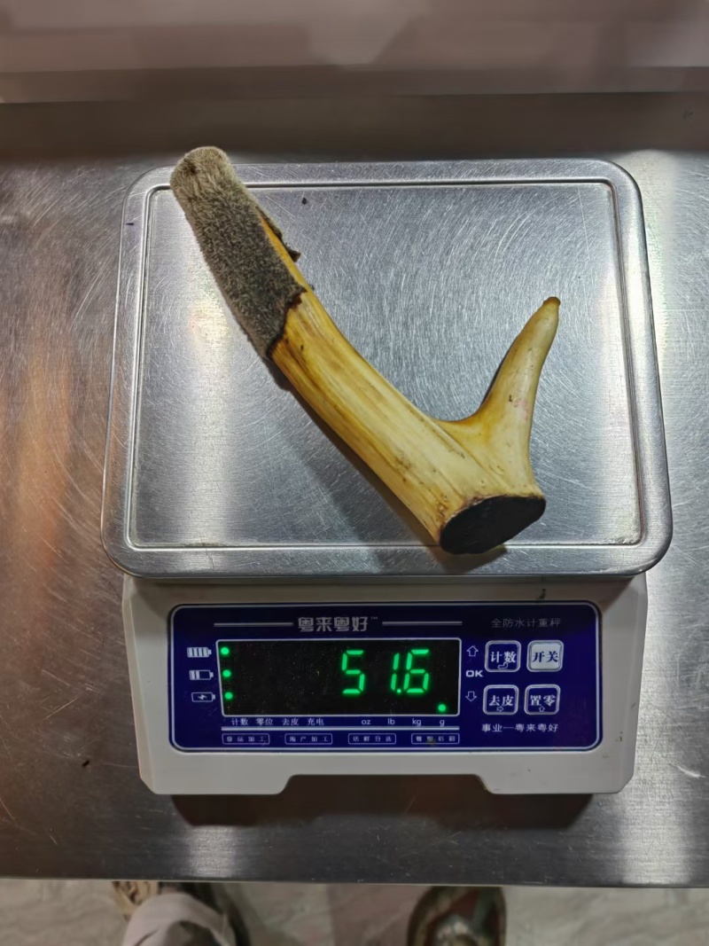 干鹿茸批发打粉鹿茸片鹿茸段鹿茸片便宜地滩