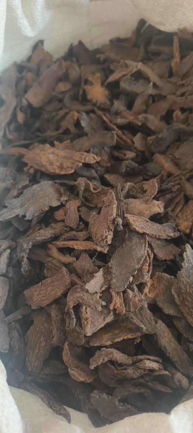 《热销》制锁阳（祥泰药材栈）中药材批发零售产地大货薄利多