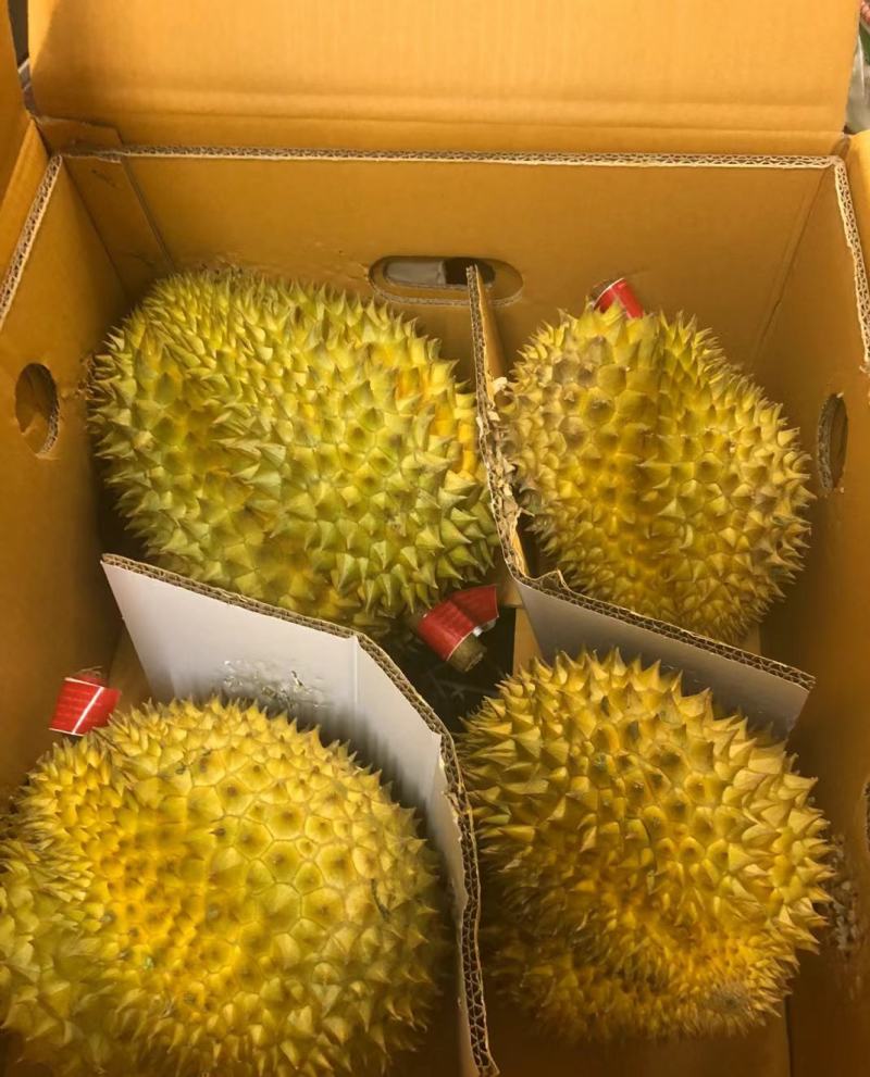 金枕榴莲一手货源批发市场，a果保5房，坏果包赔，货到付款