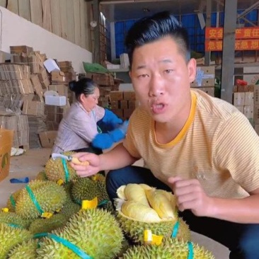 金枕榴莲一手货源批发市场，a果保5房，坏果包赔，货到付款