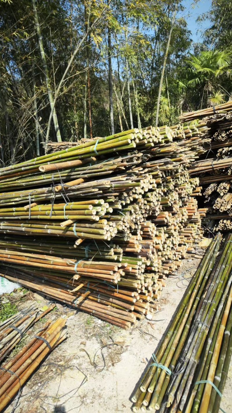 【精品竹子】竹竿菜架产地直销支持定制尺寸欢迎采购咨询