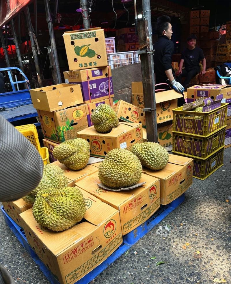 金枕榴莲一手批发价格，A果保5房，坏果包赔，货到付款