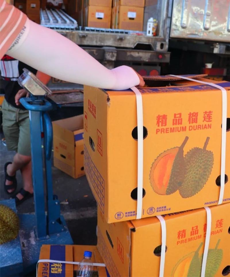 金枕榴莲一手批发价格，A果保5房，坏果包赔，货到付款