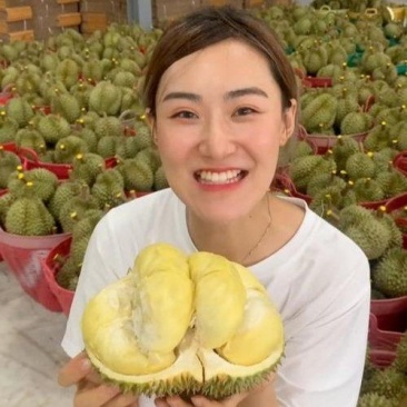 金枕榴莲一手批发价格，A果保5房，坏果包赔，货到付款