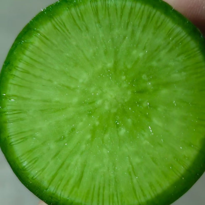 大量供应里外绿水果萝卜商超加工厂酱菜厂电商货