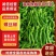 海南精品螺丝椒货源充足质量保障电商直发诚信经营!