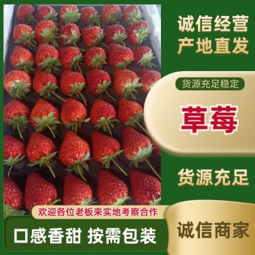 草莓山东草莓口感好耐运输周期长货源充足产地直发欢迎联系