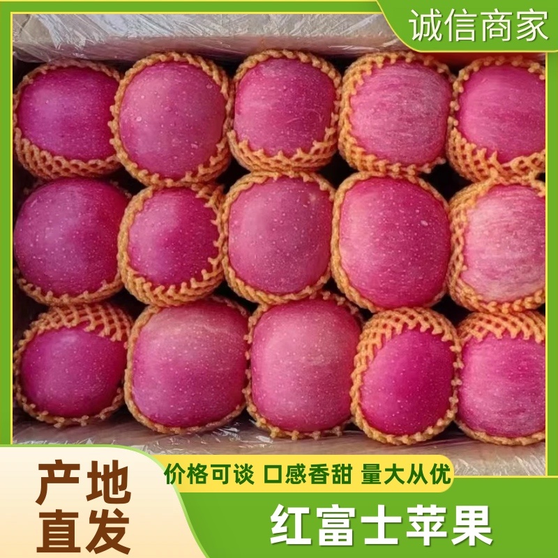 【常年卖】红富士苹果纸袋纸加膜皮薄脆甜商超供货