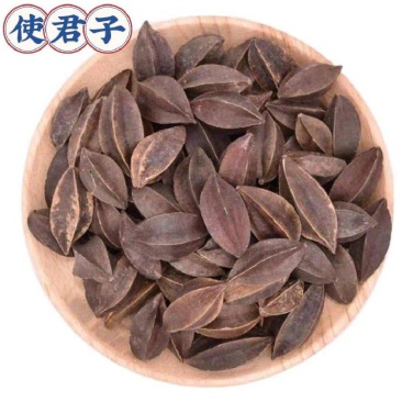 使君子各种中药材名贵药材冷背药材代加工打粉压片制丸子配方