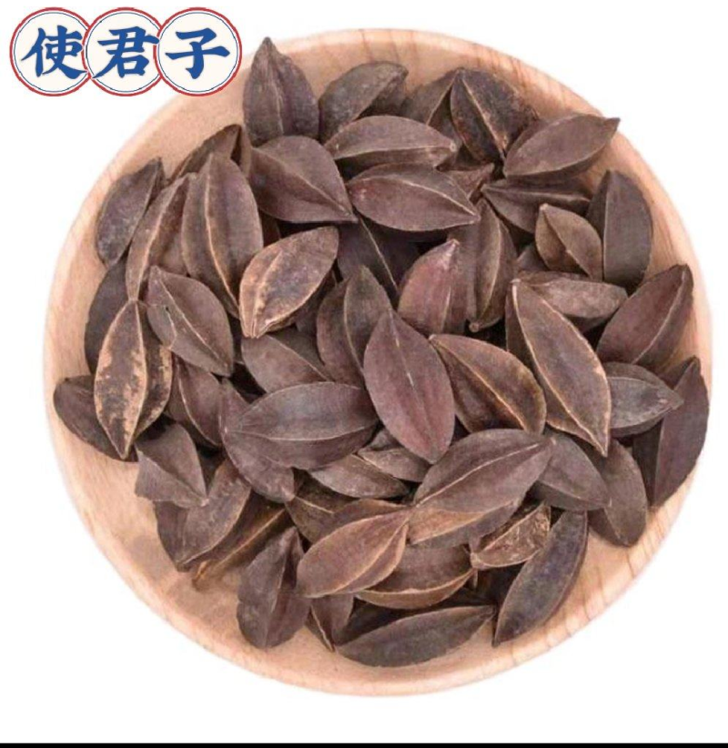 使君子各种中药材名贵药材冷背药材代加工打粉压片制丸子配方