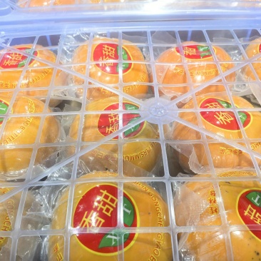脆柿