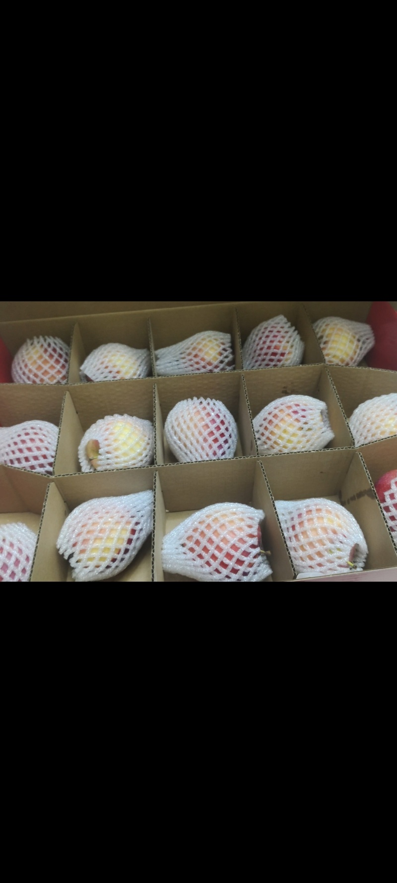 牛奶果精品礼盒，东北稀有果类，奶香味十足