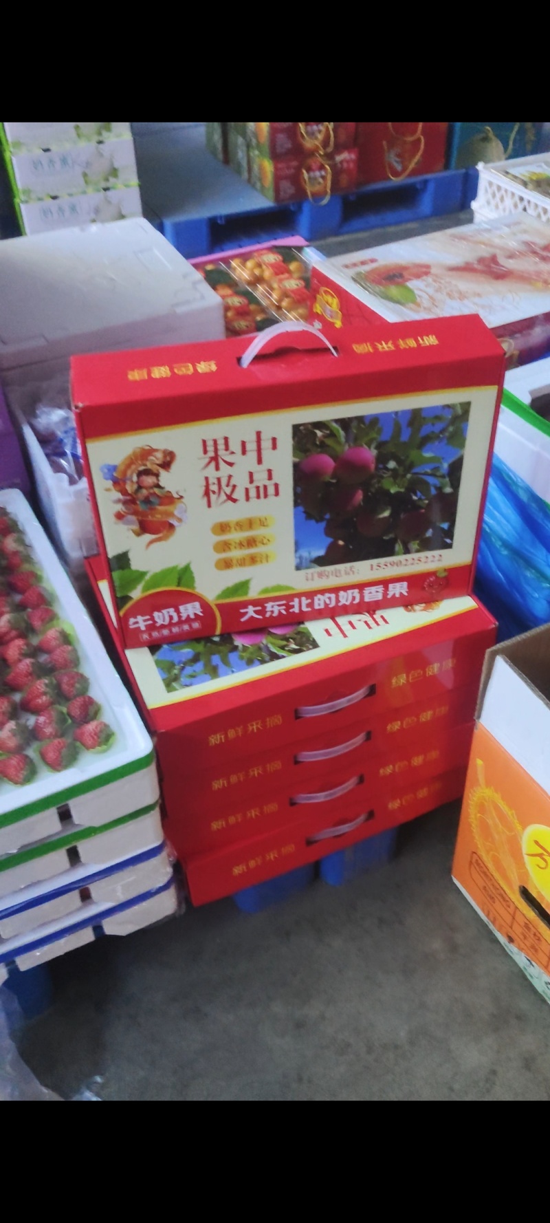 牛奶果精品礼盒，东北稀有果类，奶香味十足